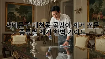 서대문구 대현동 곰팡이 제거 전문: 종류별 제거 완벽 가이드